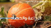 قالب عرض تقديمي عرض كل ما يجب معرفته عن الزراعة والحصاد -36 شريحة