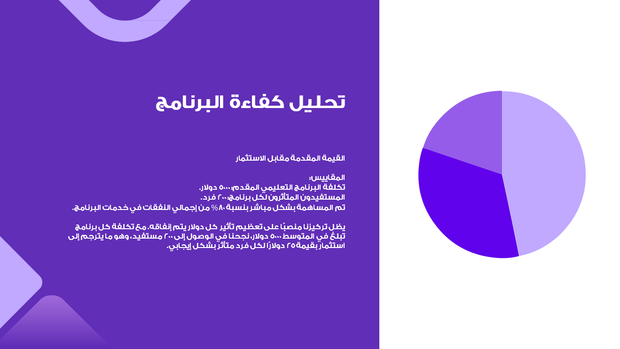 قالب بوربوينت تمويل منظمة غير ربحية - شريحة عرض عن تحليل كفاءة البرنامج.