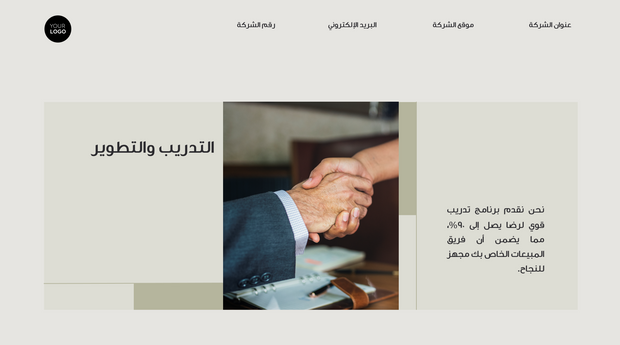    قالب بوربوينت - عرض المبيعات (21 شريحة)