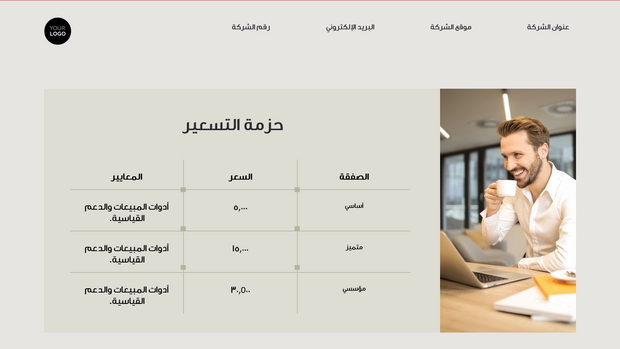    قالب بوربوينت - عرض المبيعات (21 شريحة)