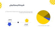قالب بوربوينت -العرض المالي