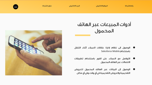 قالب بوربوينت- أدوات وموارد المبيعات 18 شريحة عرض