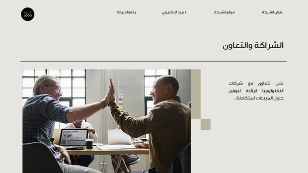    قالب بوربوينت - عرض المبيعات (21 شريحة)