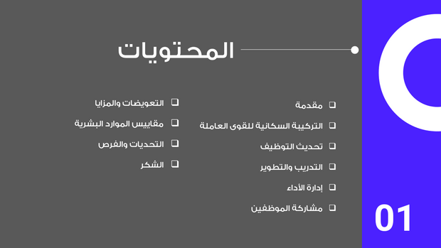 ملف بور بوينت العرض التقديمي تقرير الموارد البشرية- 12 شريحة