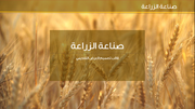 قالب عرض تقديمي عرض صناعة الزراعة -41 شريحة