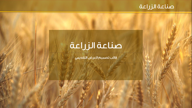 قالب عرض تقديمي عرض صناعة الزراعة -41 شريحة