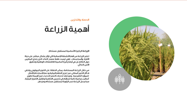 قالب عرض تقديمي عرض الزراعة والحصاد -36 شريحة
