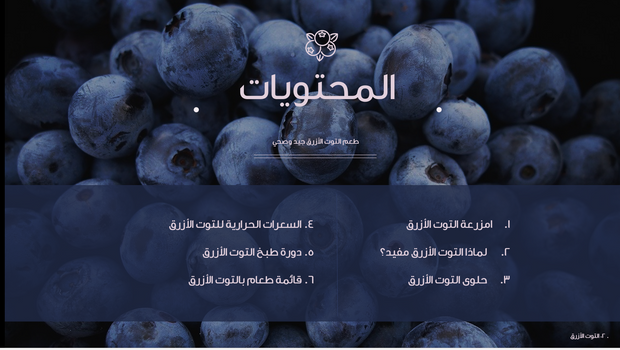 قالب عرض تقديمي عرض إدارة مزرعة التوت الأزرق -41 شريحة 