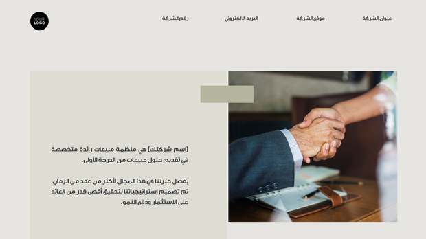    قالب بوربوينت - عرض المبيعات (21 شريحة)