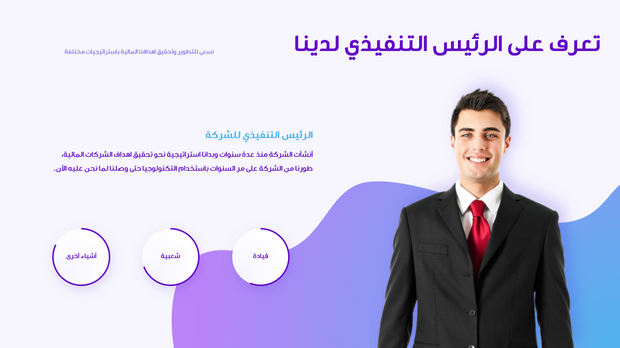 قالب بوربوينت- عرض مالي 12 شريحة عرض