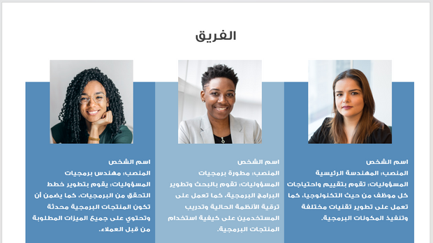 عرض تقديمي -شركة تطوير البرمجيات-10 شرائح