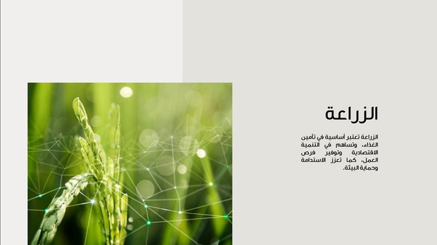 قالب عرض تقديمي عرض الحصاد الزراعي -36 شريحة