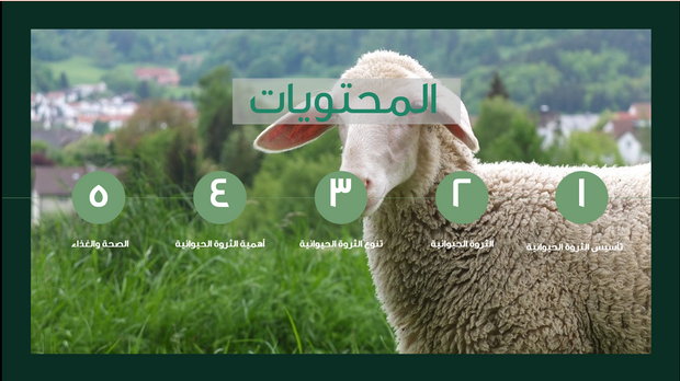 قالب عرض تقديمي عرض إدارة المزرعة والثروة الحيوانية-41 شريحة