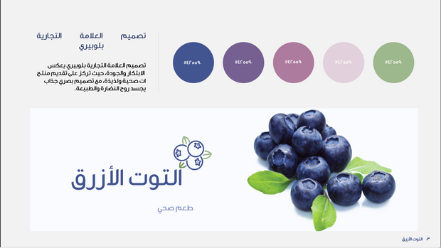 قالب عرض تقديمي عرض التوت الأزرق -41 شريحة