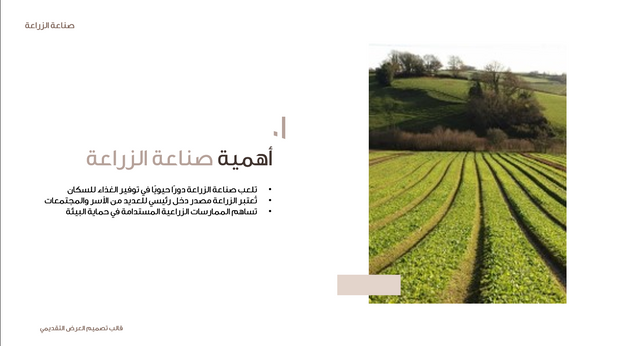 قالب عرض تقديمي عرض صناعة الزراعة -41 شريحة