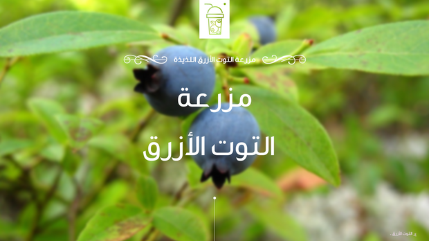 قالب عرض تقديمي عرض إدارة مزرعة التوت الأزرق -41 شريحة 