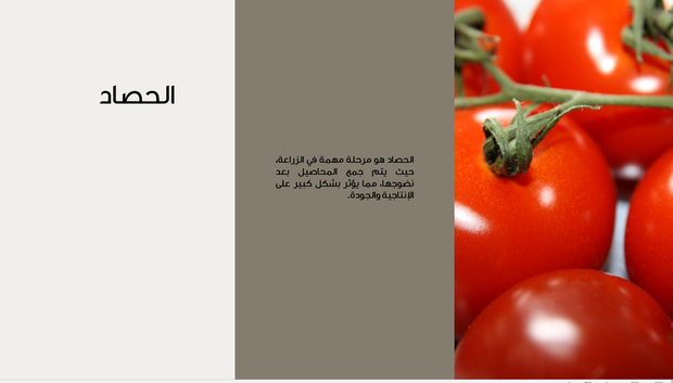 قالب عرض تقديمي عرض الحصاد الزراعي -36 شريحة