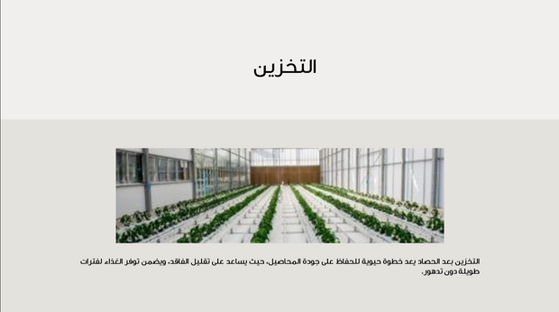 قالب عرض تقديمي عرض الحصاد الزراعي -36 شريحة