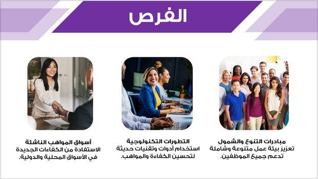 عرض تقديمي -استراتيجيات شركة ادارة الموارد البشرية- 14 شريحة