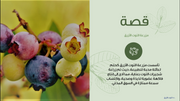 قالب عرض تقديمي عرض إدارة مزرعة التوت الأزرق -41 شريحة