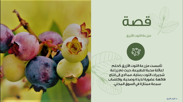 قالب عرض تقديمي عرض إدارة مزرعة التوت الأزرق -41 شريحة