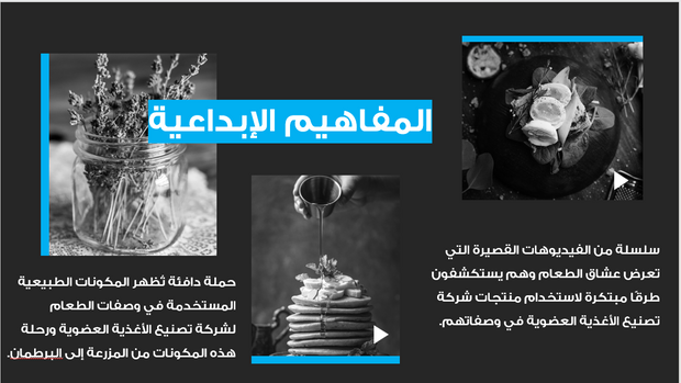 عرض تقديمي- حملة الوكالة الاعلانية -14شريحة