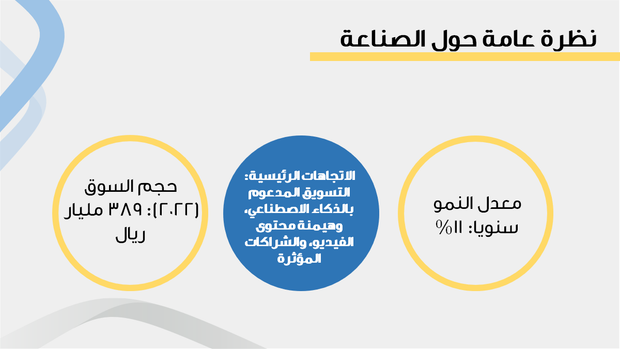 قالب بوربوينت - الهوية التجارية - بروفايل للشركة، التعريف و الاتجاهات و الرؤى المالية  - 13 شريحة