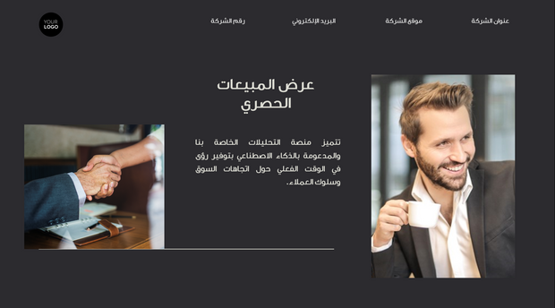    قالب بوربوينت - عرض المبيعات (21 شريحة)