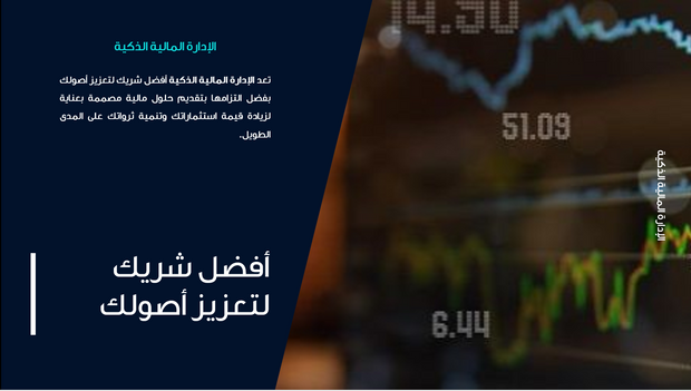 قالب عرض تقديمي عرض الإدارة المالية الذكية -51 شريحة