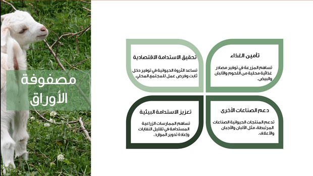 قالب عرض تقديمي عرض إدارة المزرعة والثروة الحيوانية-41 شريحة
