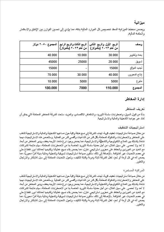 قالب وورد خطة عمل الشركة