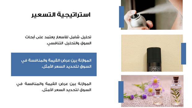 قالب بوربوينت التمويل - شريحة عرض عن استراتيجية التسعير.