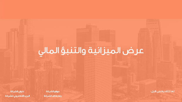 ملف بوربوينت - عرض الميزانية والتنبؤ المالي- 19 سلايد