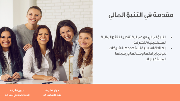 ملف بوربوينت - عرض الميزانية والتنبؤ المالي- 19 سلايد