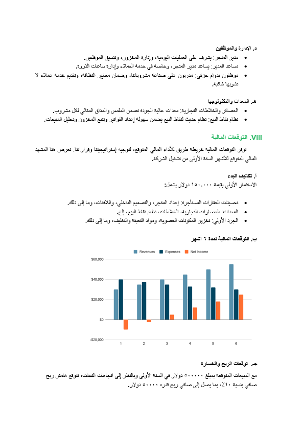 قالب وورد خطة العمل