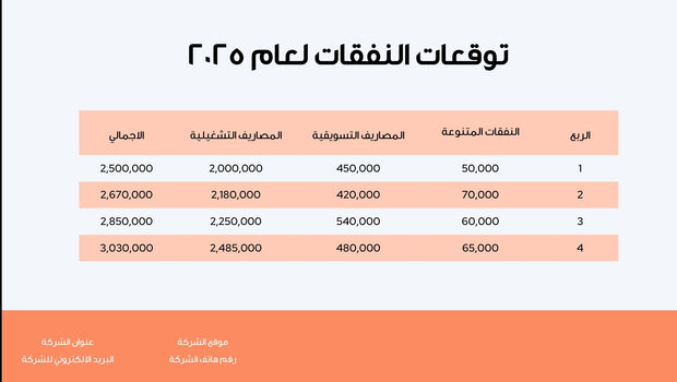 ملف بوربوينت - عرض الميزانية والتنبؤ المالي- 19 سلايد
