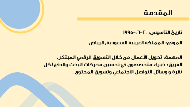 قالب بوربوينت - الهوية التجارية - بروفايل للشركة، التعريف و الاتجاهات و الرؤى المالية  - 13 شريحة