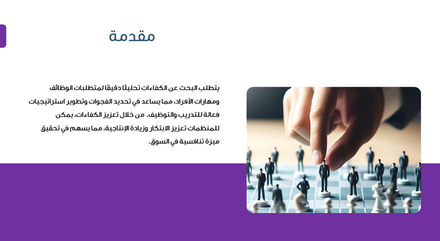 عرض تقديمي - عرض خدمات البحث عن الكفاءات - 30  شريحة
