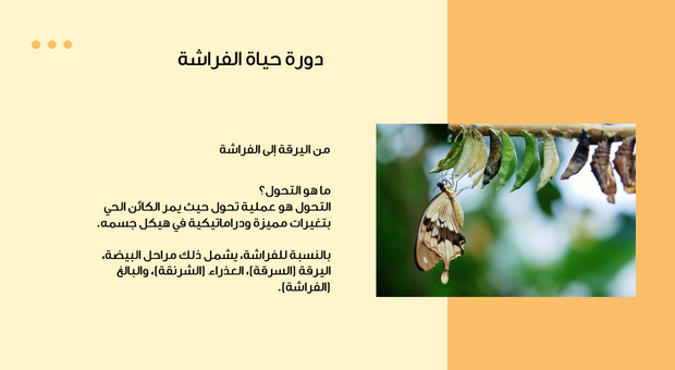 عرض تقديمي - 14 شريحة -عرض تقديمي لطلاب العلوم