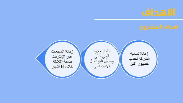 نموذج بوربوينت - تعريف بالشركة و دراسة حالة - 13 شريحة