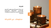 قالب عرض بوربوينت خطة المبيعات - شريحة عرض معلومات عن الشركة