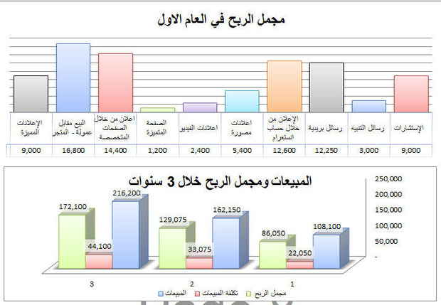 نموذج ملف عمل خطة عمل ثلاث سنوات PDF بي دي اف